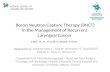Boron Neutron Capture Therapy (BNCT) in the Management of Recurrent Laryngeal Cancer Haapaniemi A¹, Kankaanranta L², Saat R 3, Koivunoro H², Saarilahti.