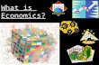 What is Economics?. oEoEconomics: The study of human efforts to satisfy unlimited and competing wants through the careful use of scarce resources. oToThe.