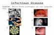 Infectious Disease Starter: Match these pathogens to the symptoms they cause ABCABC 123123.