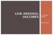 In healthy adults Naisi Zhao LIVE AEROSOL VACCINES.