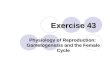 Exercise 43 Physiology of Reproduction: Gametogenesis and the Female Cycle.