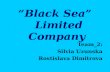 “Black Sea” Limited Company Team_2: Silvia Uzunska Rostislava Dimitrova.