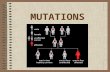 MUTATIONS. What is a Mutation? A change in DNA Mutations are NOT Teenage Mutant Ninja Turtles or XMen!!! We are all mutants – products of the mutations.