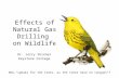 Effects of Natural Gas Drilling on Wildlife Dr. Jerry Skinner Keystone College Who…"speaks for the trees, as the trees have no tongues“?