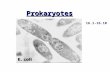 Prokaryotes 16.1-16.10. Phylogenic Tree of the Three Domains Prokaryote: Bacteria & Archaea.