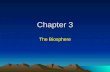 Chapter 3 The Biosphere. Section 3-1 What is Ecology?