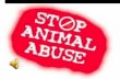 Animal Abuse Statistics  Of 1880 animal cruelty cases reported in 2007  64.5% involved dogs  18% involved cats  25% involved other animals.