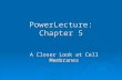 PowerLecture: Chapter 5 A Closer Look at Cell Membranes.