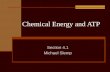 Chemical Energy and ATP Section 4.1 Michael Slemp.