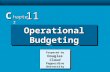 11-1 Operational Budgeting C hapter 11 Prepared by Douglas Cloud Pepperdine University.