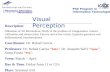 Visual Perception PhD Program in Information Technologies Description: Obtention of 3D Information. Study of the problem of triangulation, camera calibration.