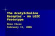 The Acetylcholine Receptor – An LGIC Prototype Rose Chase February 11, 2005.