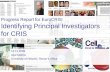 Progress Report for EuroCRIS: Identifying Principal Investigators for CRIS 12.11.2009 Aija Kaitera University of Helsinki, Rector’s Office.