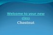Chestnut. Timetable 2012 - 2013 8.55 – 9.259.25 – 10.2510.25 – 10.40 10.40 – 11.00 11.00 – 12.0012.00 – 1.00 1.00 – 3.15 Monday Guided reading Literacy.