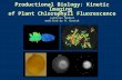 Productional Biology: Kinetic Imaging of Plant Chlorophyll Fluorescence Ladislav Nedbal modified by M. Bartak.