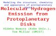Molecular Hydrogen Emission from Protoplanetary Disks Hideko Nomura (Kobe Univ.), Tom Millar (UMIST) Modeling the structure, chemistry and appearance of.