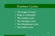1 Nutrient Cycles The magic of water What is a Nutrient? The Carbon cycle The Nitrogen cycle The Phosphorus cycle The Sulfur cycle.