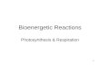 1 Bioenergetic Reactions Photosynthesis & Respiration.