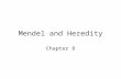 Mendel and Heredity Chapter 8. The Origins of Genetics The passing of traits from parents to offspring is called heredity. The scientific study of heredity.