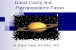 Nasal Cavity and Pterygopalatine Fossa R. Shane Tubbs, MS, PA-C, PhD.