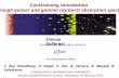 Simona Gallerani Constraining reionization through quasar and gamma ray burst absorption spectra In collaboration with: T. Roy Choudhury, P. Dayal, X.