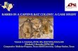 RABIES IN A CAPTIVE BAT COLONY: A CASE STUDY Vincent C. Gresham, DVM, MS, DACVPM, DACLAM Elizabeth J. Browder, DVM, MS Comparative Medicine Program, Texas.