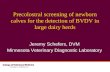 Precolostral screening of newborn calves for the detection of BVDV in large dairy herds Jeremy Schefers, DVM Minnesota Veterinary Diagnostic Laboratory.