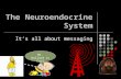 The Neuroendocrine System It’s all about messaging Mr. Ballard is Cool.