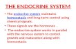 THE ENDOCRINE SYSTEM The endocrine system maintains homeostasis and long-term control using chemical signals.endocrine system homeostasis These signals.
