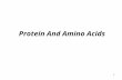 1 Protein And Amino Acids. 2 The Roles Of Protein Building materials Enzymes Hormones Regulators of fluid and electrolyte balance Acid-base regulators.