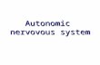 Autonomic nervovous system. Parasympathicus rest or digest Sympathicus fight or flight.