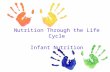 Nutrition Through the Life Cycle Infant Nutrition.