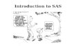 Introduction to SAS. What is SAS? SAS originally stood for “Statistical Analysis System”. SAS is a computer software system that provides all the tools.