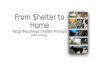 From Shelter to Home Fargo-Moorhead Shelter Animals Jeff Canning.