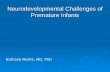 Neurodevelopmental Challenges of Premature Infants Nathalie Maitre, MD, PhD.