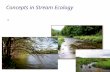 Concepts in Stream Ecology Streams are ecosystems.