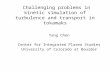 Challenging problems in kinetic simulation of turbulence and transport in tokamaks Yang Chen Center for Integrated Plasma Studies University of Colorado.