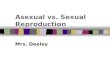 Asexual vs. Sexual Reproduction Mrs. Deeley. I Can … Define asexual reproduction Define sexual reproduction Define asexual reproduction Describe the differences.
