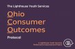 Ohio Consumer Outcomes Protocol The Lighthouse Youth Services A Lighthouse Youth Services Performance Improvement Project.