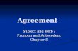 Agreement Subject and Verb / Pronoun and Antecedent Chapter 5.