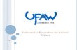 Universities Federation for Animal Welfare. W HAT IS UFAW? The Universities Federation for Animal Welfare (UFAW) is an independent registered charity.