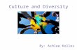 Culture and Diversity By: Ashlee Kolles. Today’s Diverse Classrooms As future teachers how can we ensure we are creating a welcoming, inclusive environment?