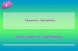 Numeric Variables Visual Basic for Applications 6.