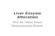 Liver Enzyme Alteration Prof. Dr. Orhan Tarçın Gastroenteroloji Bölümü.