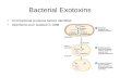 Bacterial Exotoxins First bacterial virulence factors identified Diphtheria toxin isolated in 1888.