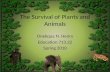The Survival of Plants and Animals Onekqua N. Henry Education 713.22 Spring 2010.
