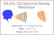 SH 318- The Speech & Hearing Mechanism Instructor: Dr. Bridget Russell Time: 12:30-1:50 Room: McEwen G26.