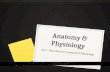 Anatomy & Physiology Ch. 1 : Introduction to Anatomy & Physiology.