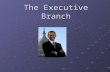 The Executive Branch. Qualifications for Presidency Natural Born Citizen 35 years old Live in the US for at least 14 years.