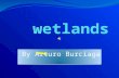 By Arturo Burciaga Map of wetlands The wetlands is in many places.